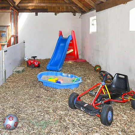 Waldblick Auf Dem Eschen Moorweg