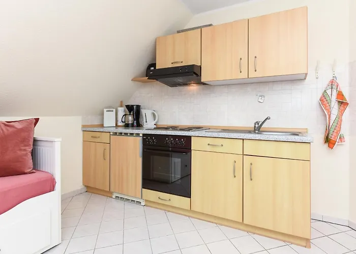 Waldblick Auf Dem Eschen *