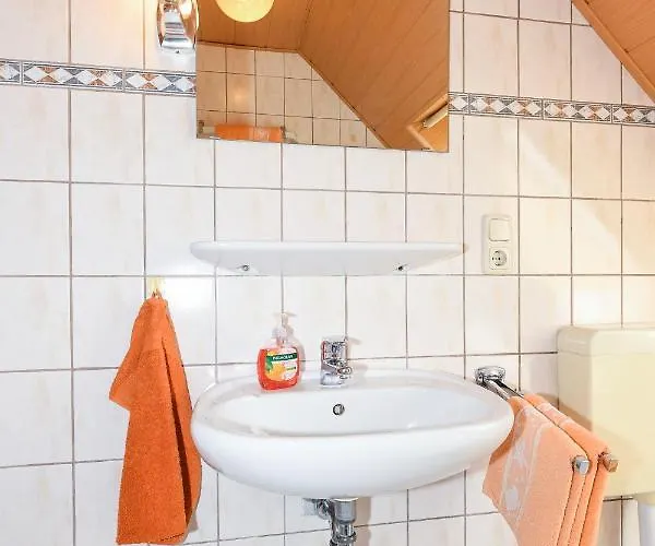 Waldblick Auf Dem Eschen Moorweg